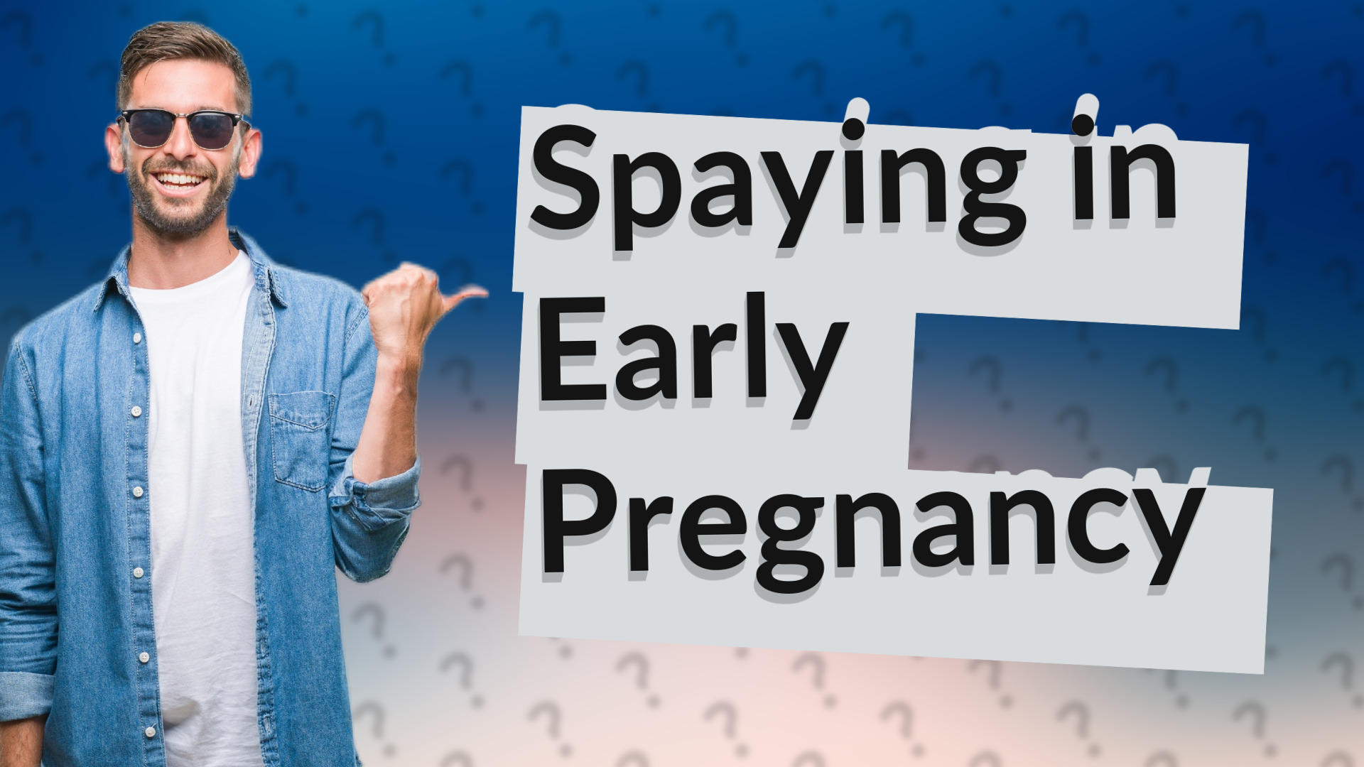 Spaying in Early Pregnancy