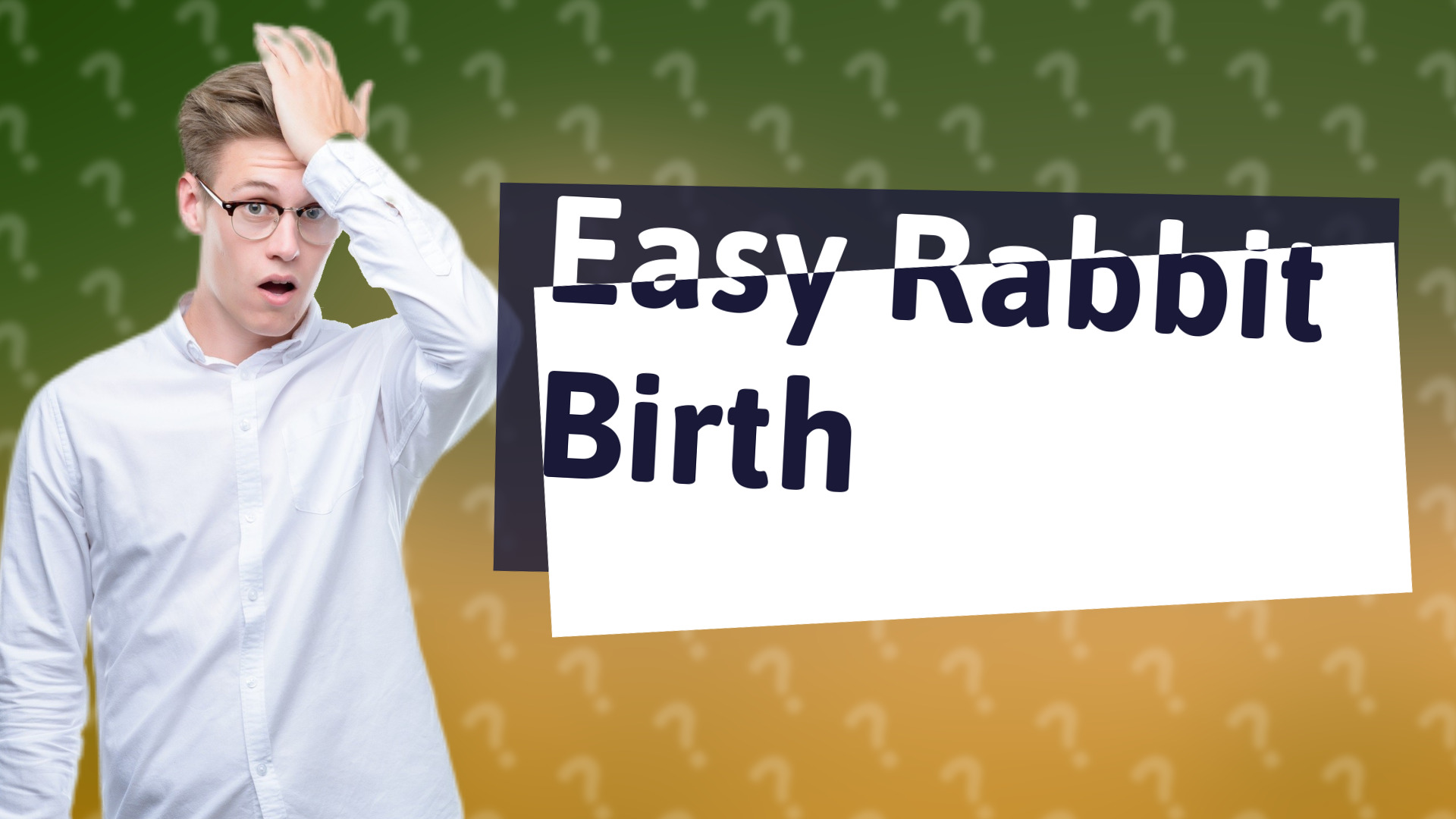 Easy Rabbit Birth