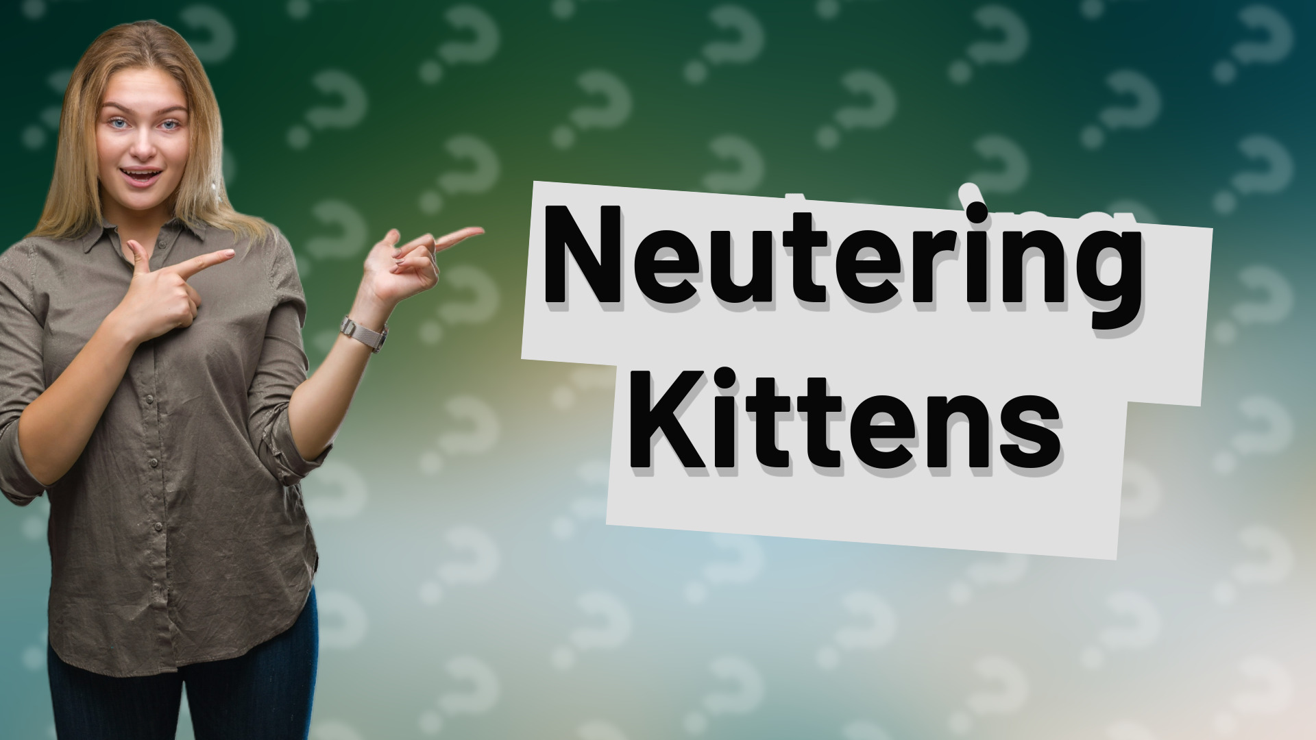 Neutering Kittens
