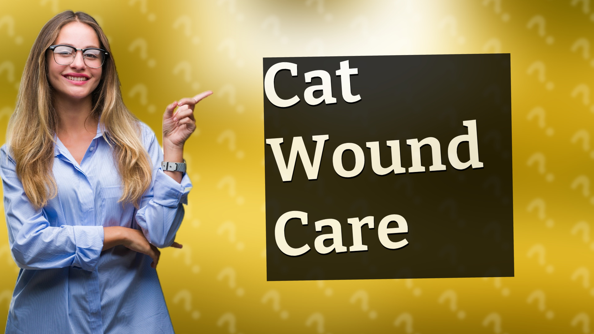 Cat Wound Care