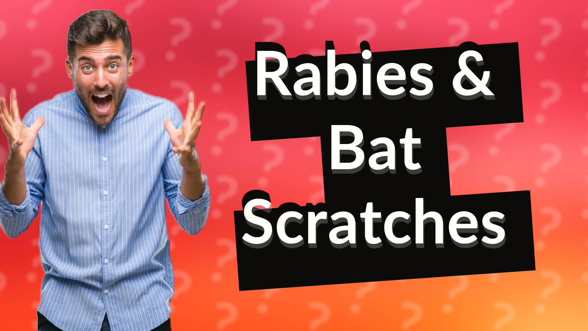 Rabies & Bat Scratches