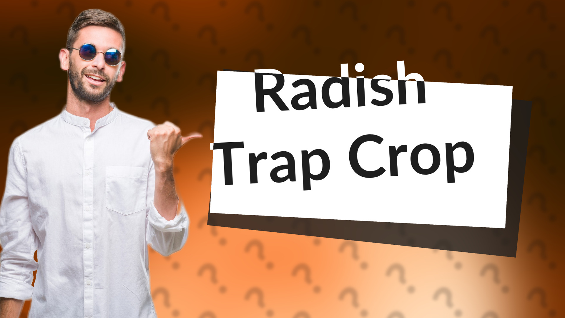 Radish Trap Crop