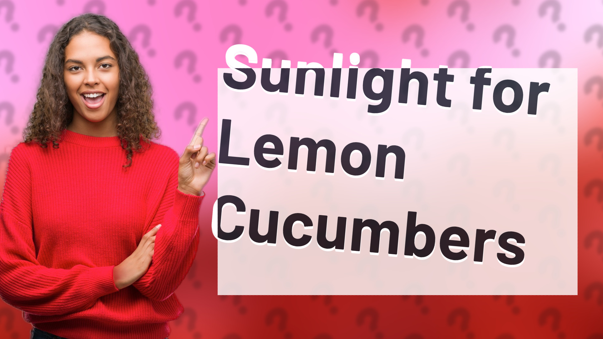 Sunlight for Lemon Cucumbers