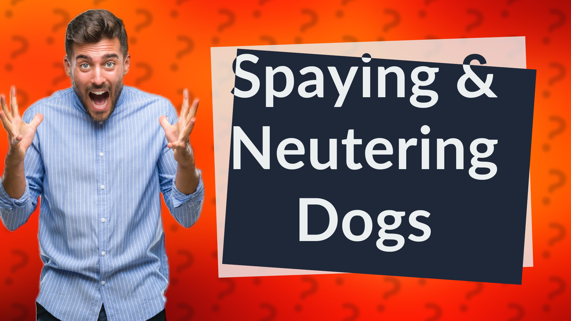 Spaying & Neutering Dogs