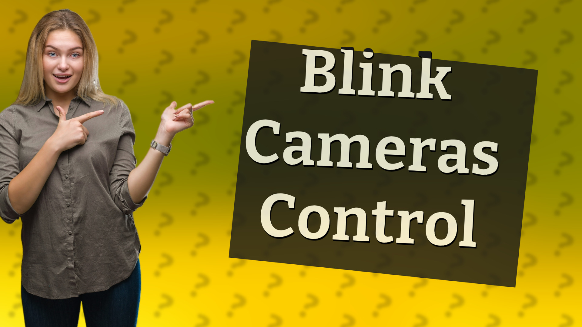 Blink Cameras Control