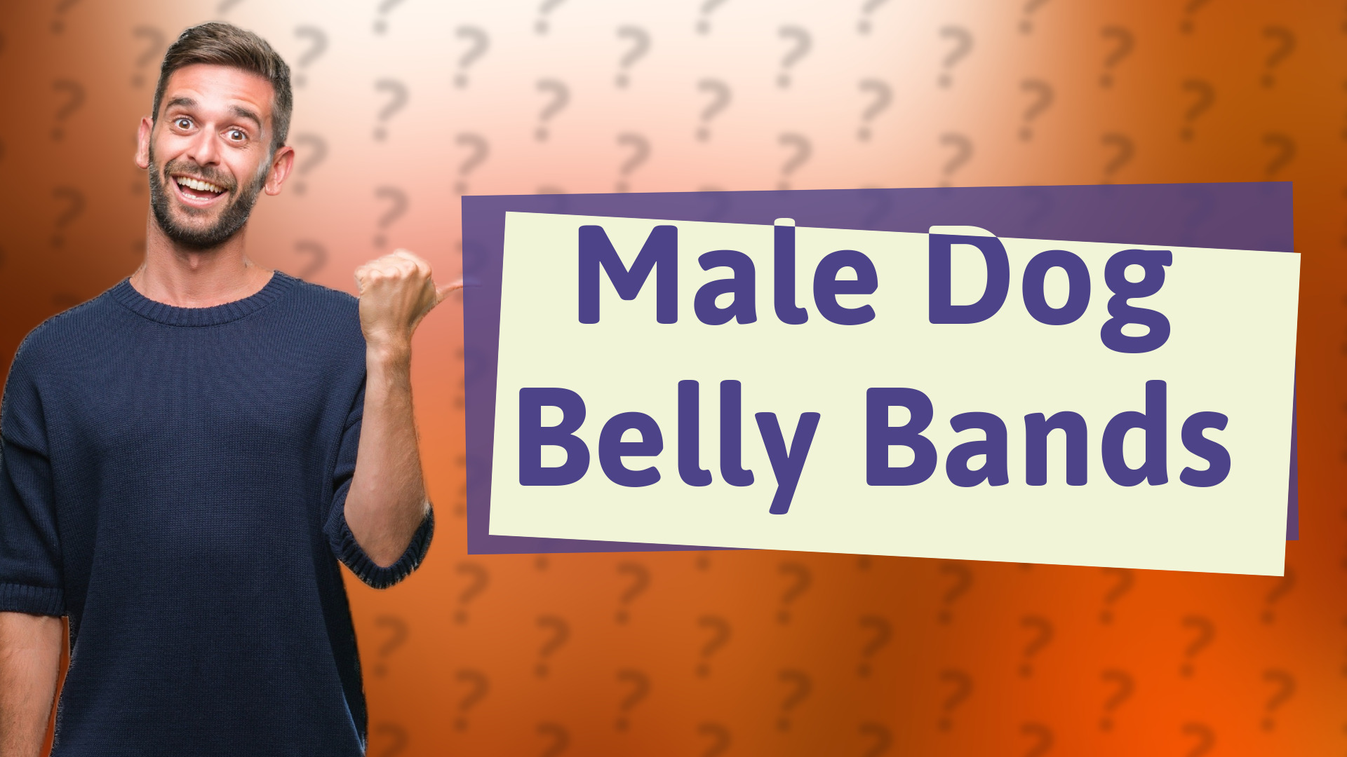 Male Dog Belly Bands