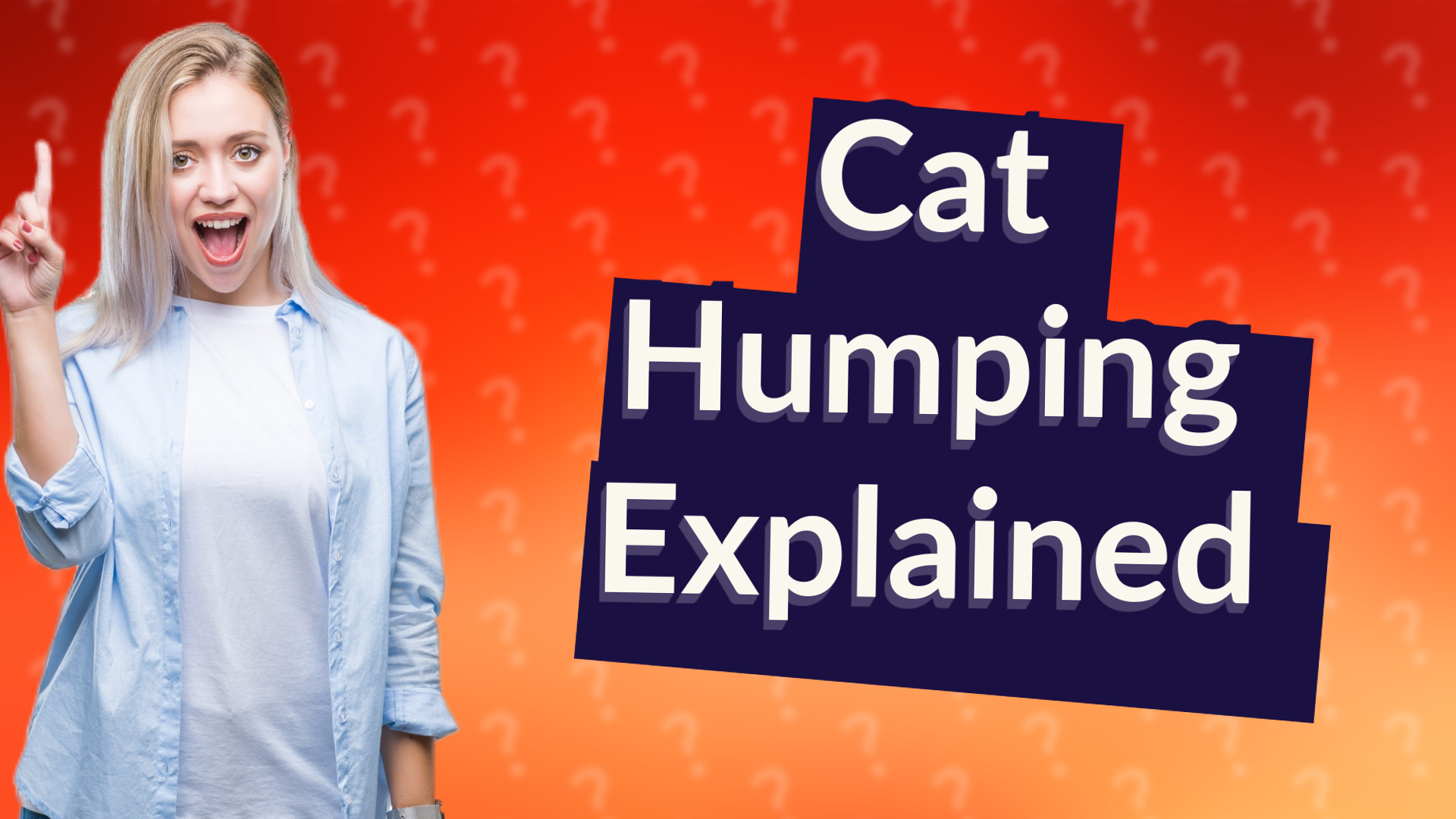 Cat Humping Explained