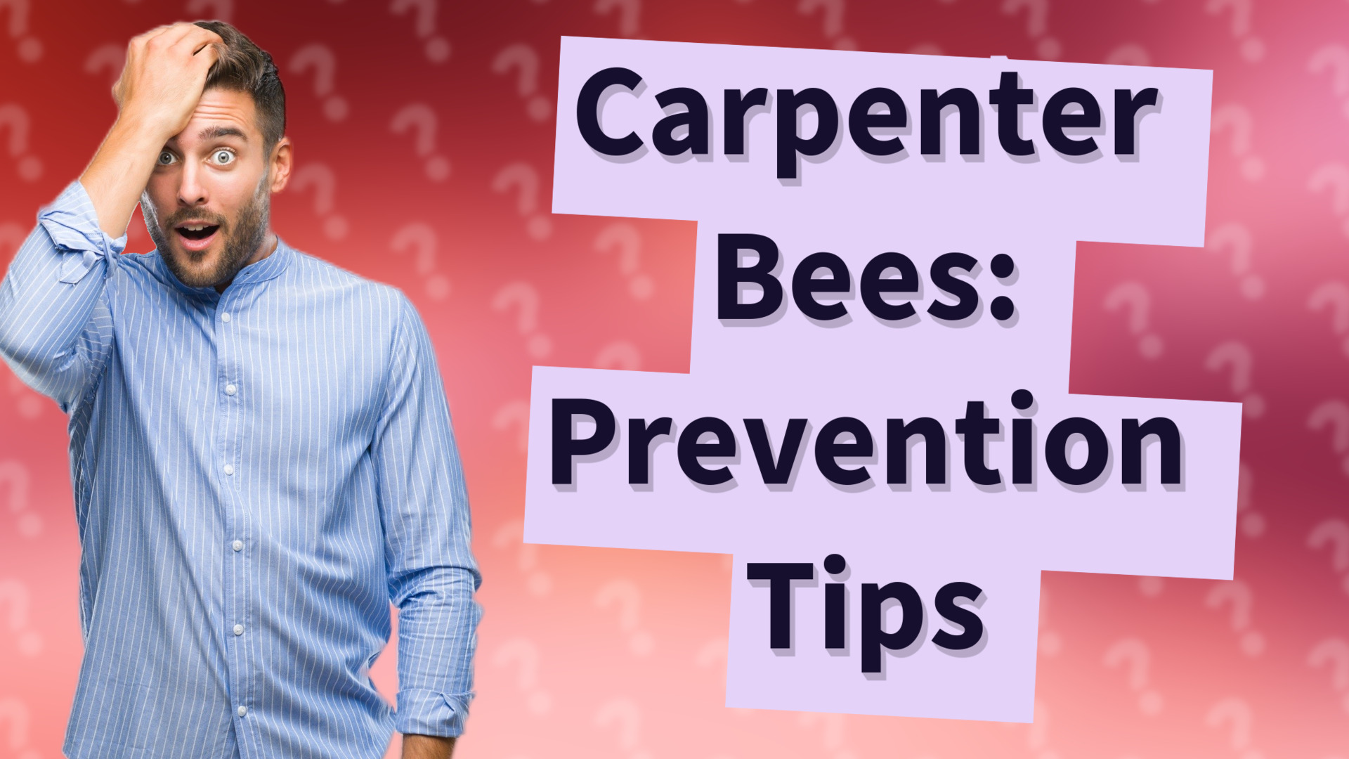 Carpenter Bees: Prevention Tips