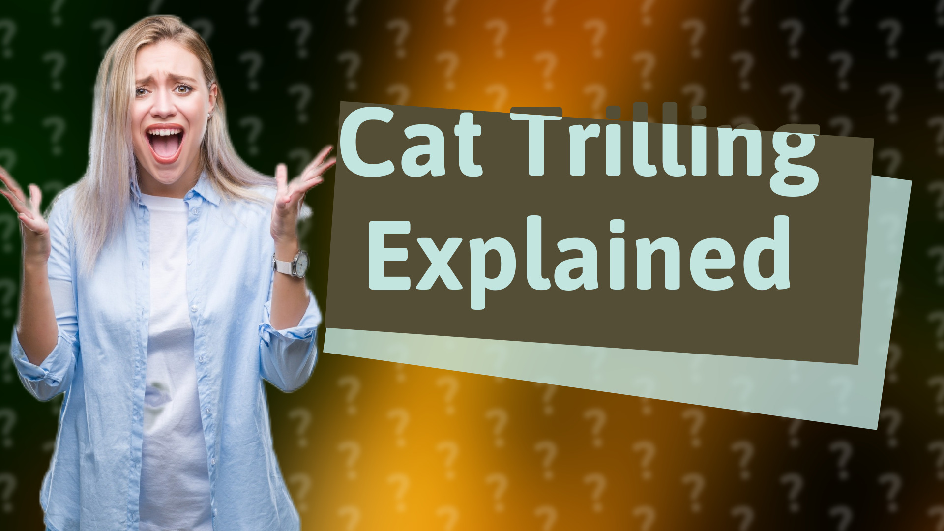 Cat Trilling Explained