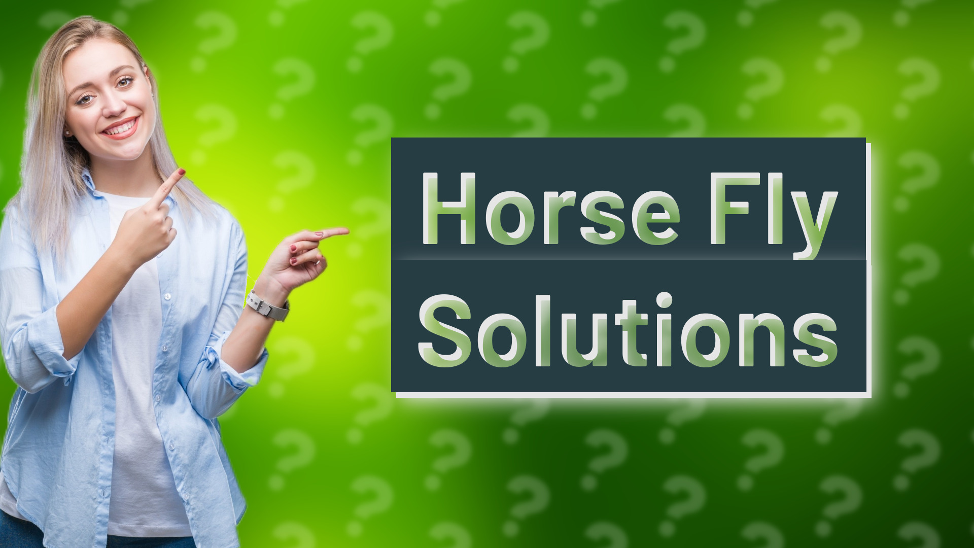 Horse Fly Solutions