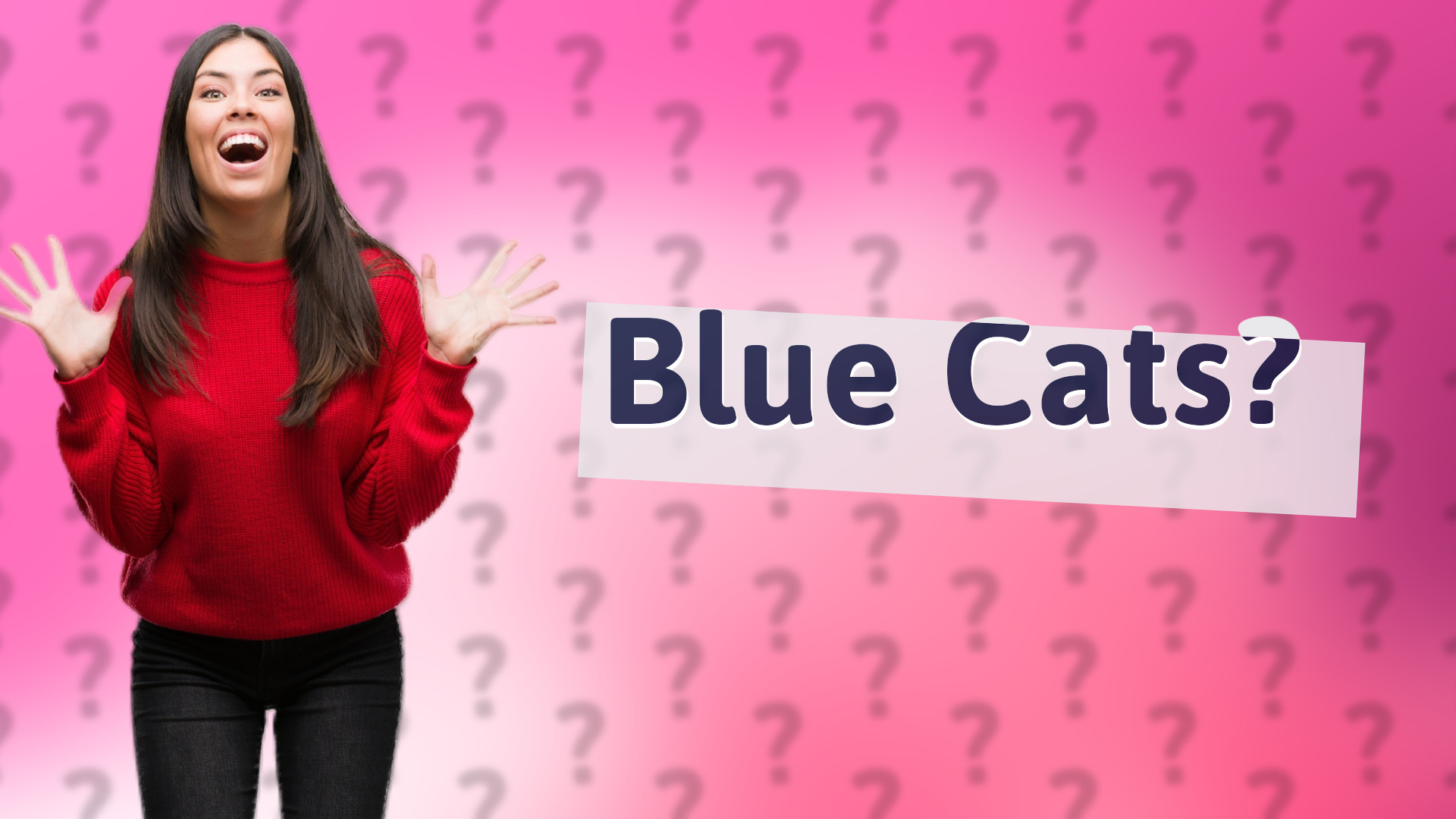 Blue Cats?
