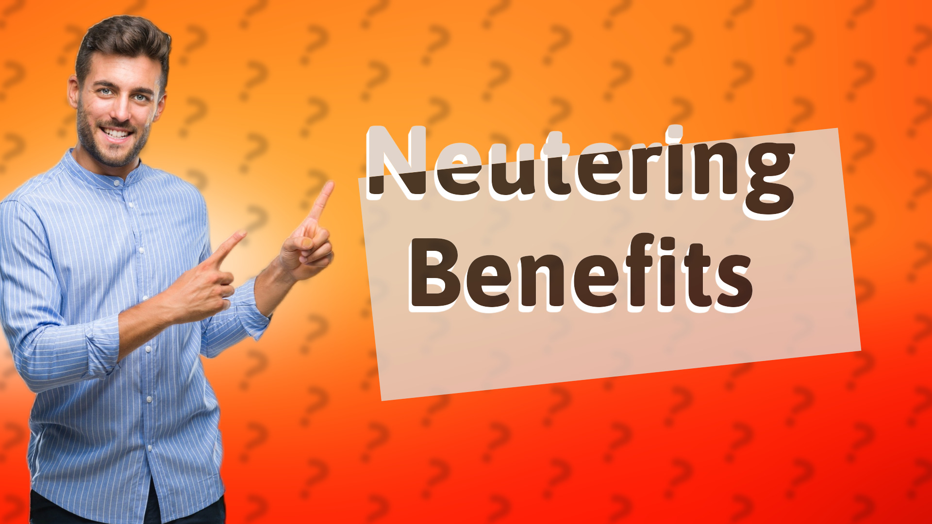 Neutering Benefits