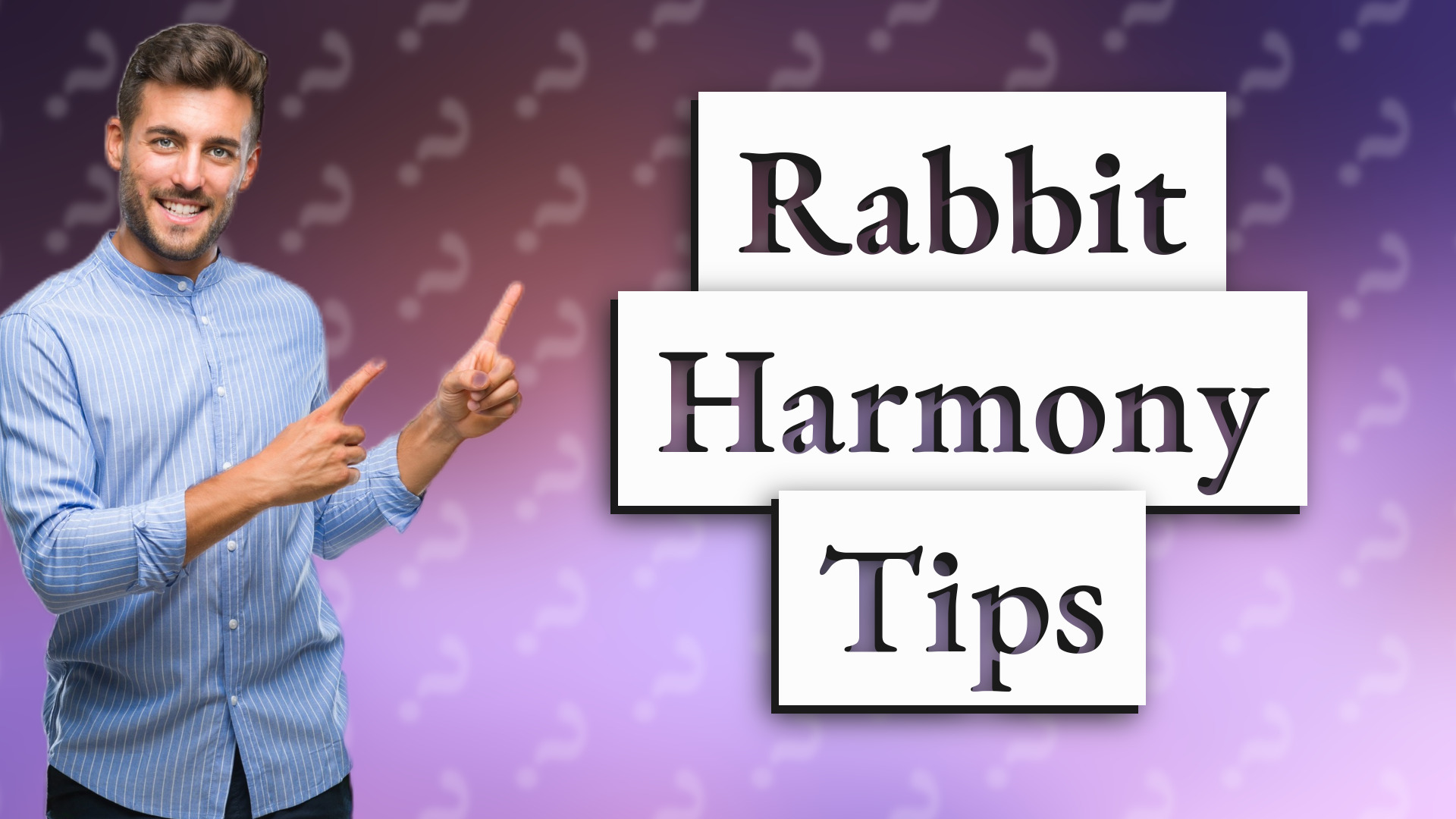 Rabbit Harmony Tips