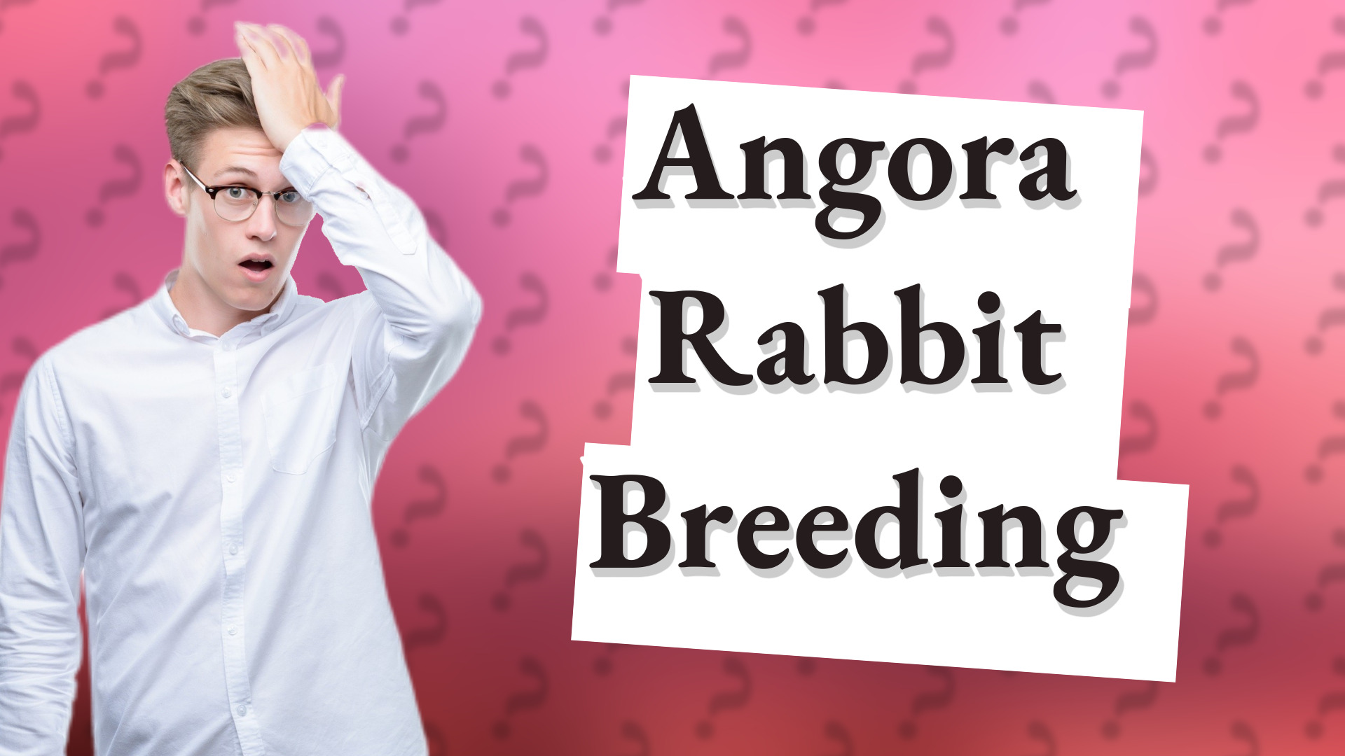 Angora Rabbit Breeding