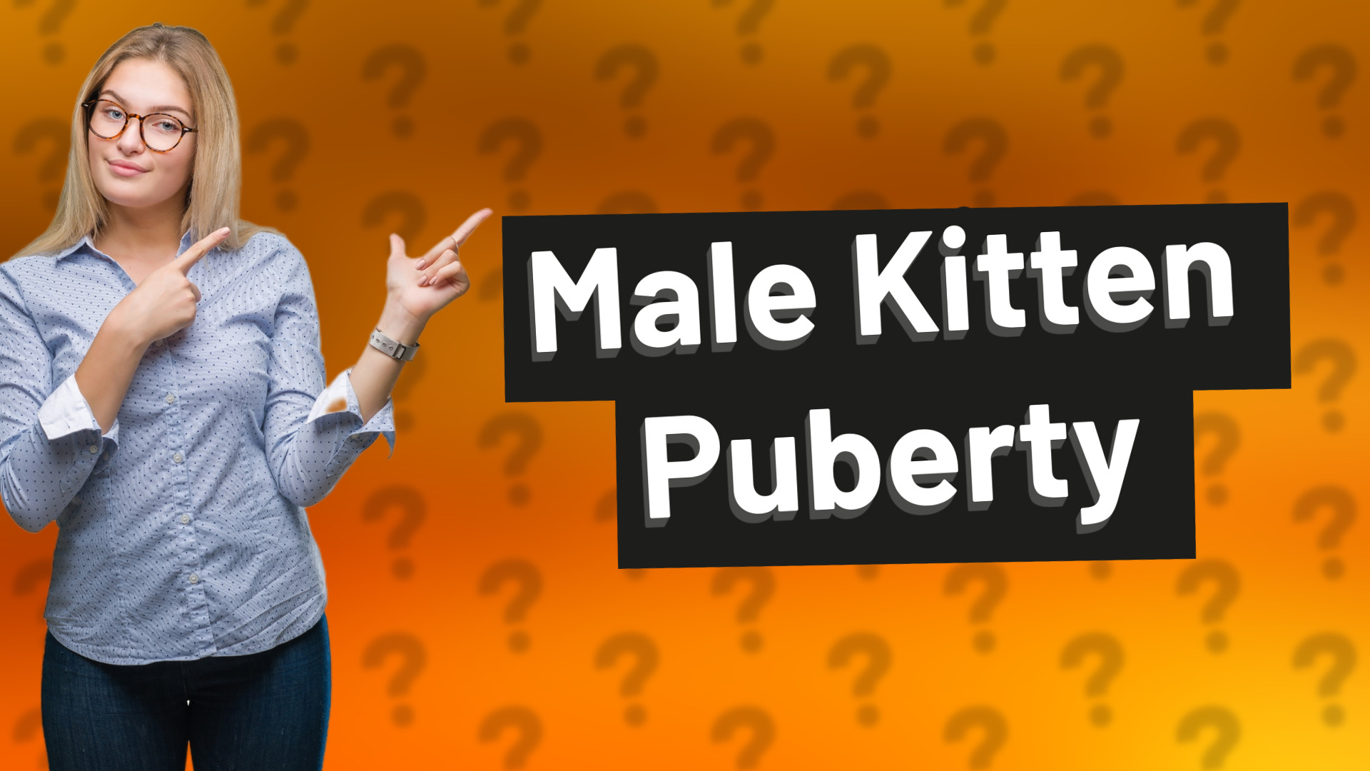 Male Kitten Puberty