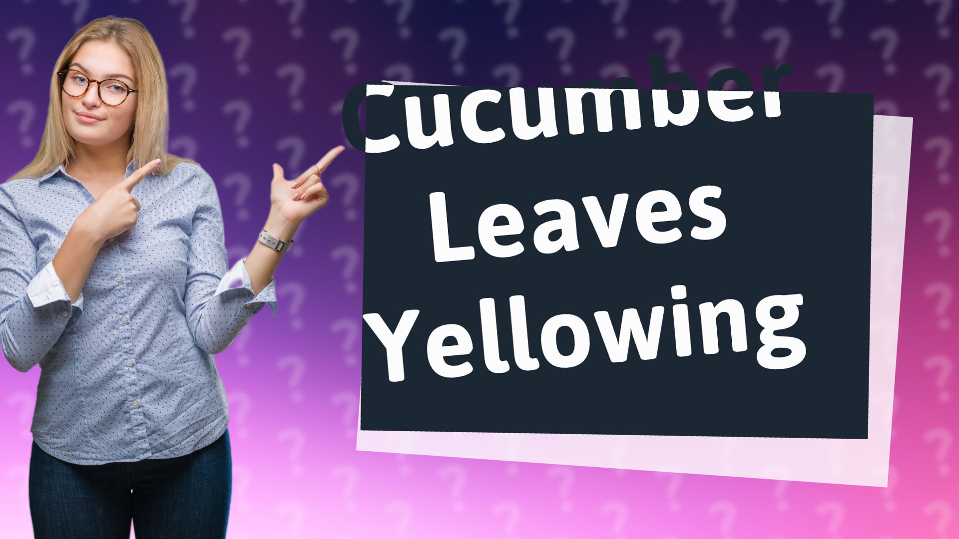Cucumber Leaves Yellowing