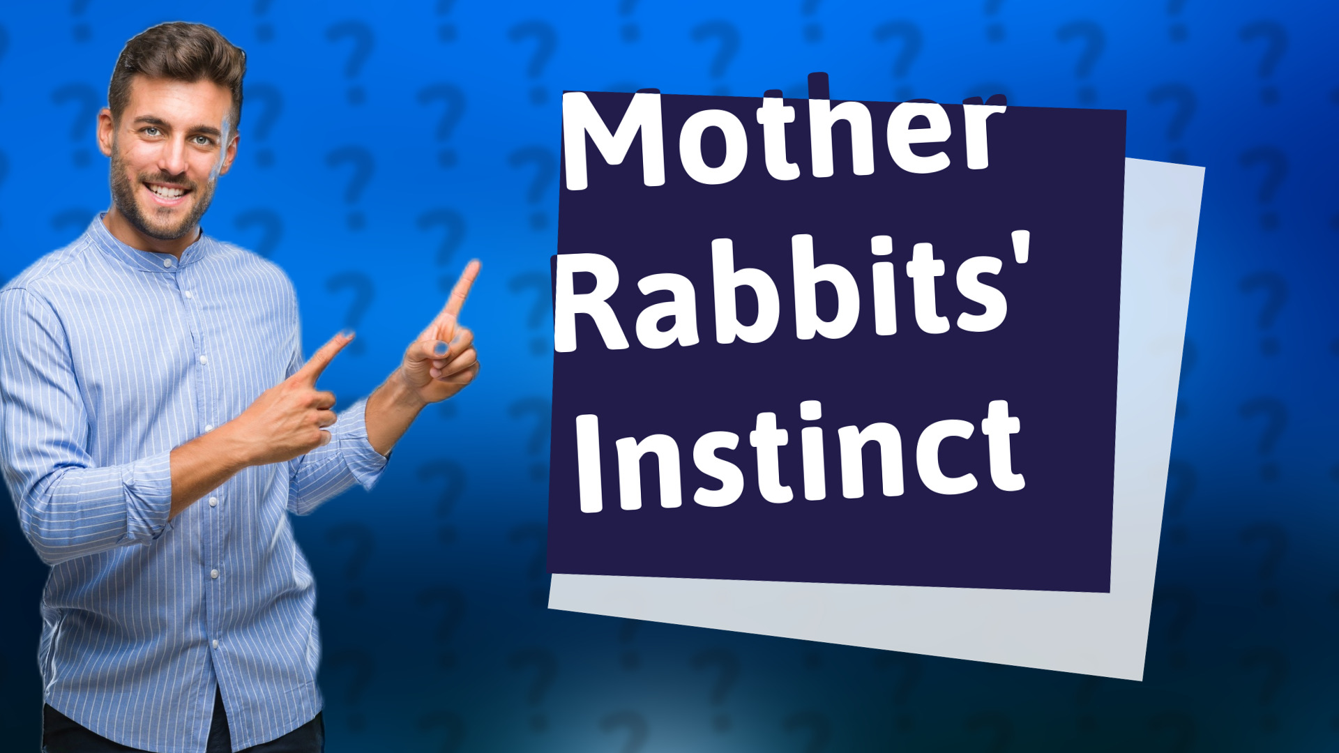 Mother Rabbits' Instinct