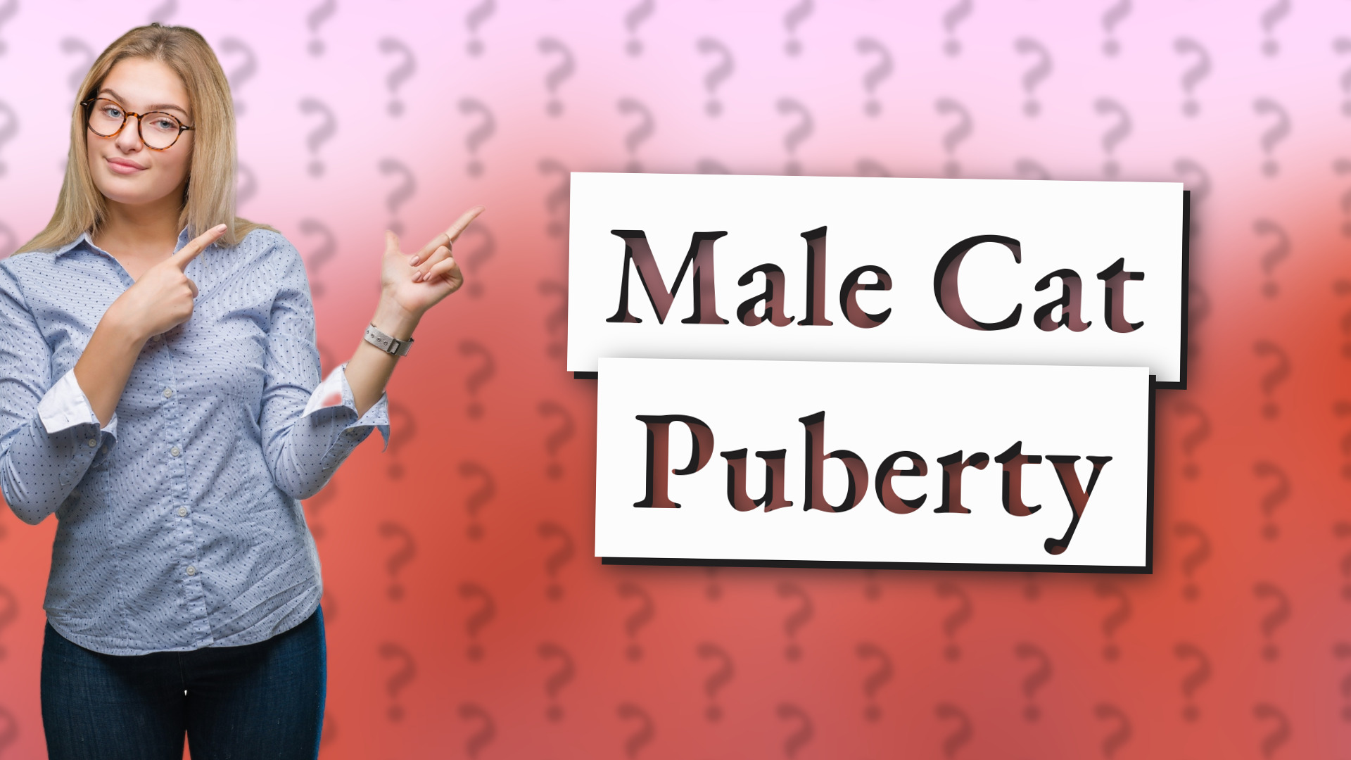 Male Cat Puberty