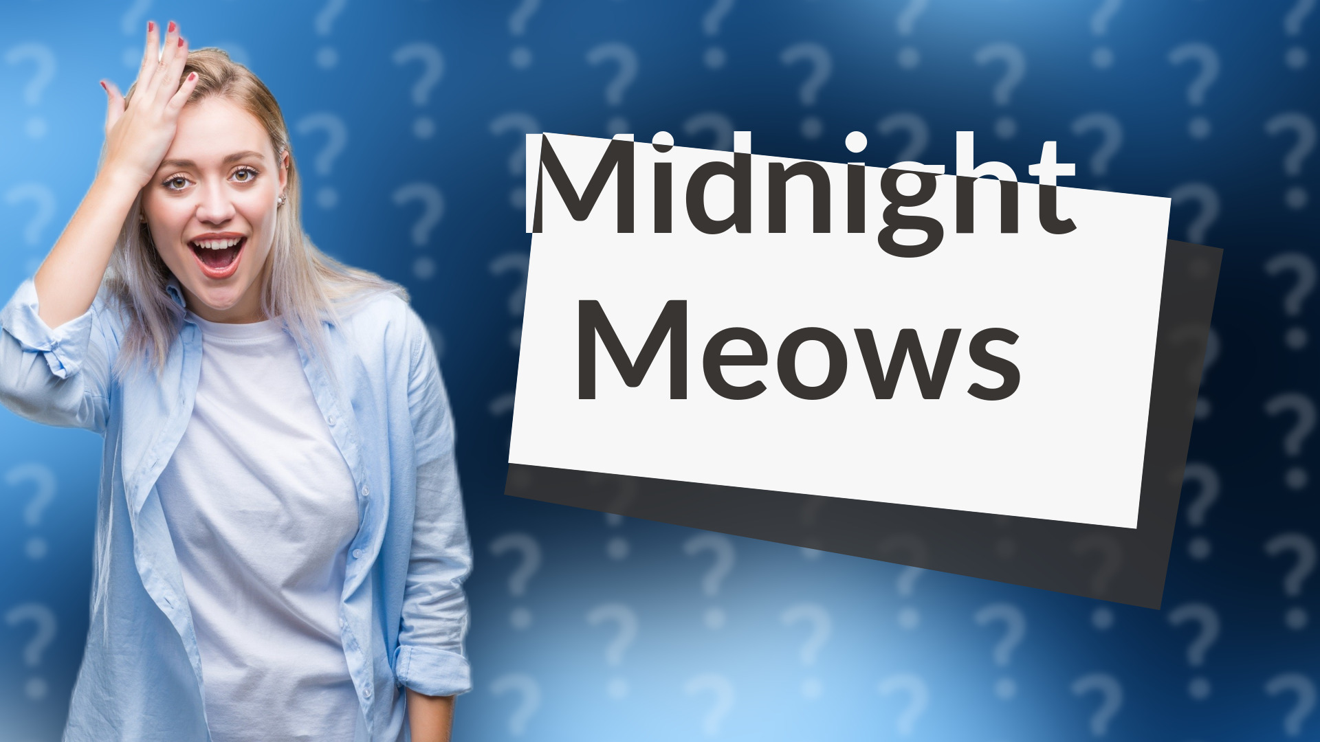 Midnight Meows