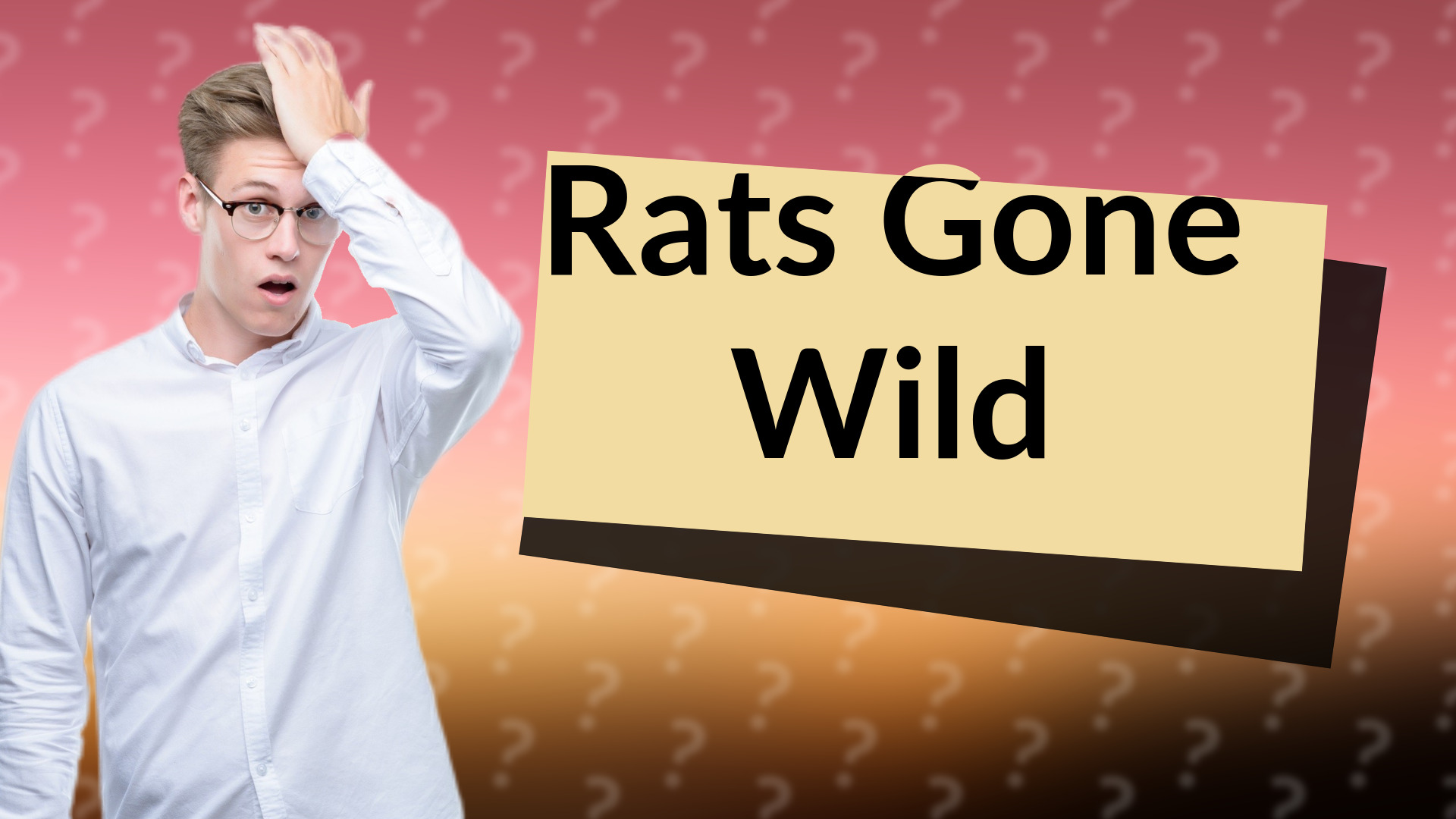 Rats Gone Wild