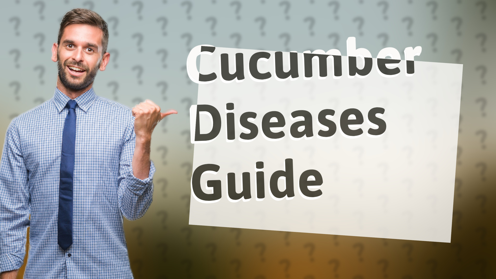 Cucumber Diseases Guide