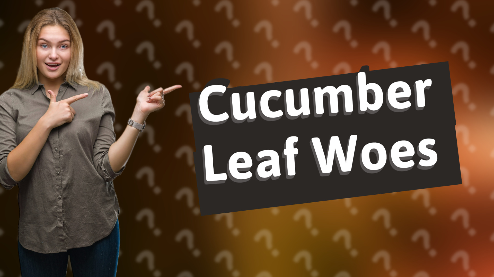 Cucumber Leaf Woes