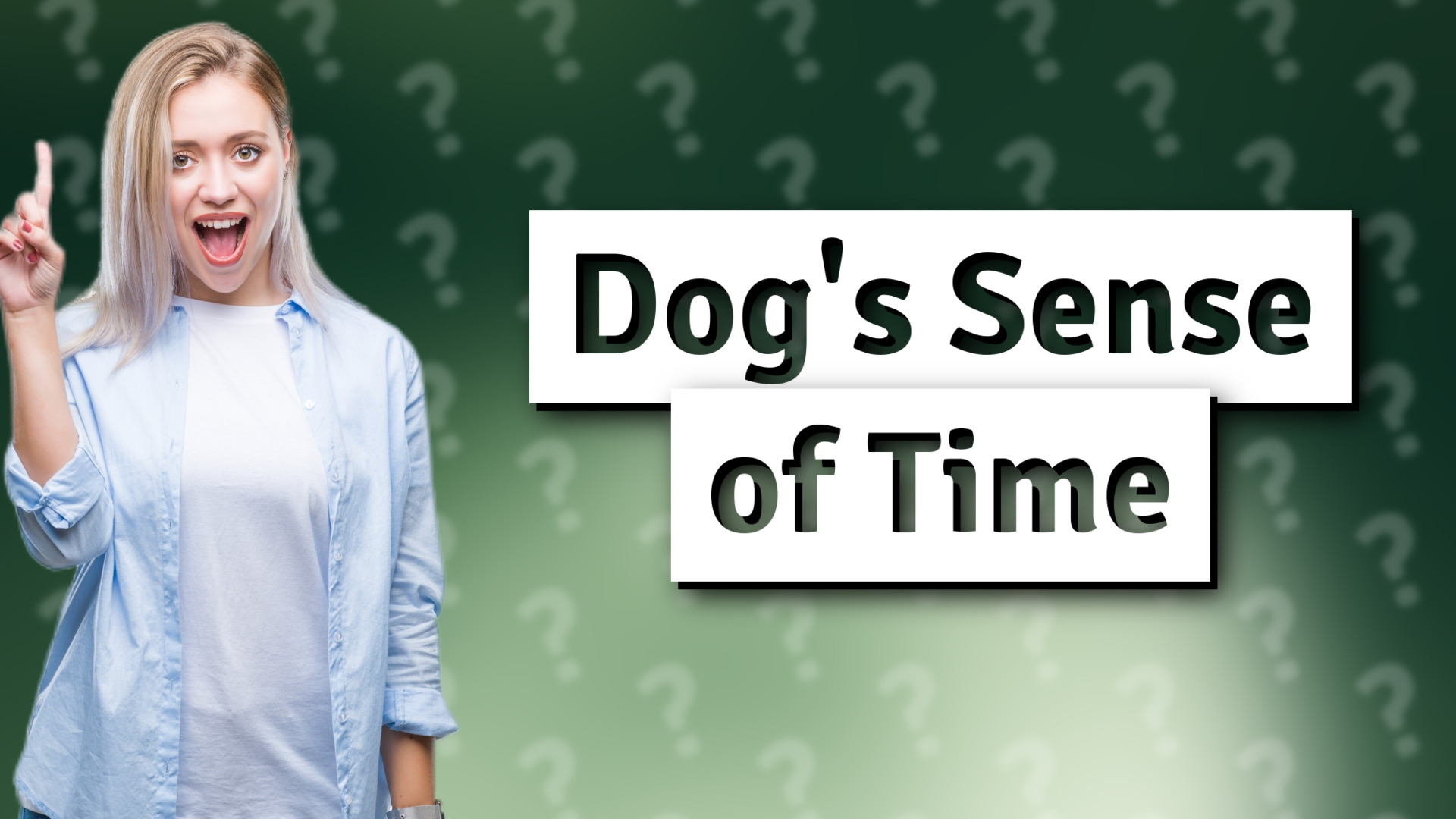 Dog's Sense of Time