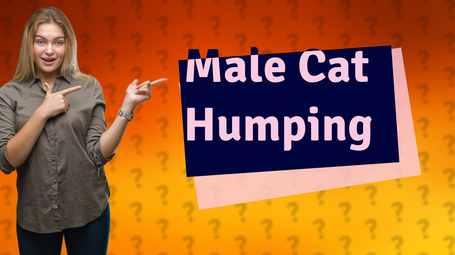 Male Cat Humping
