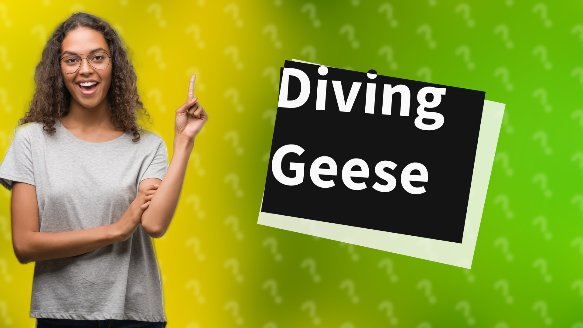 Diving Geese