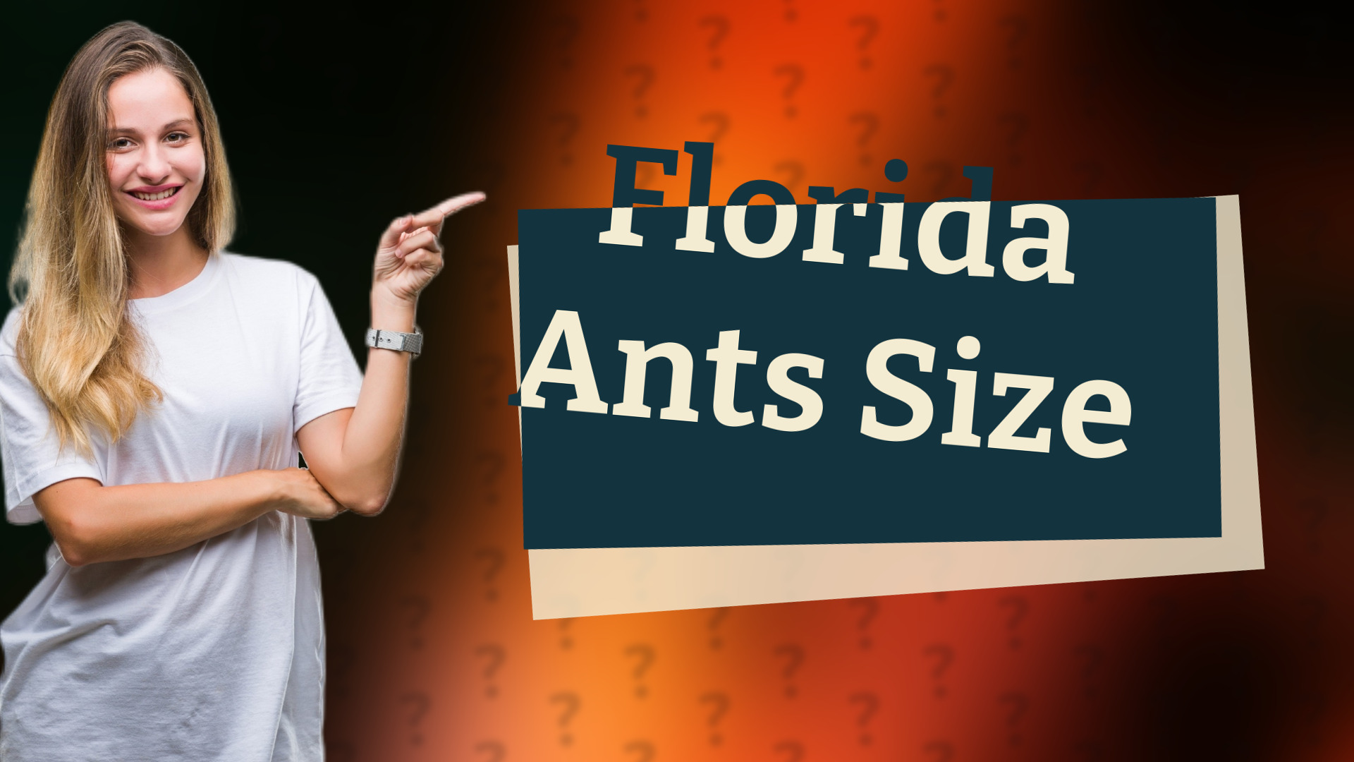 Florida Ants Size
