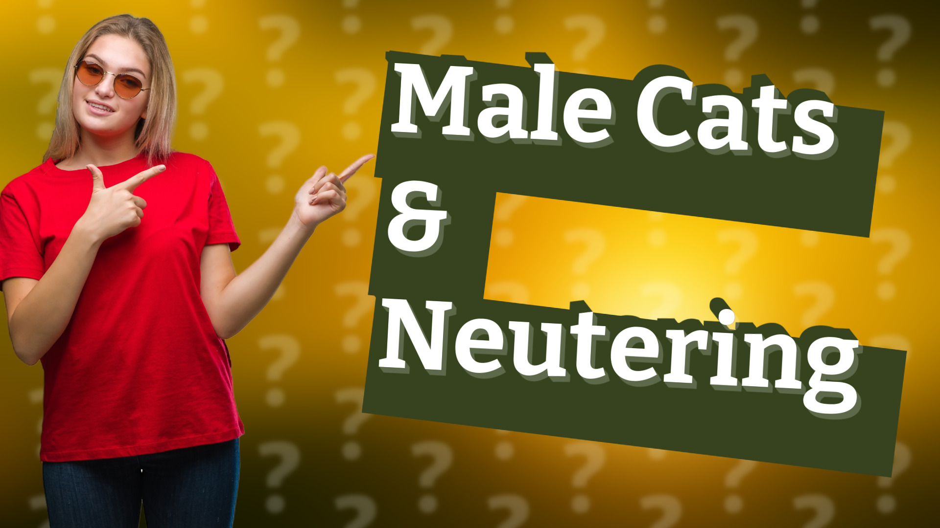 Male Cats & Neutering