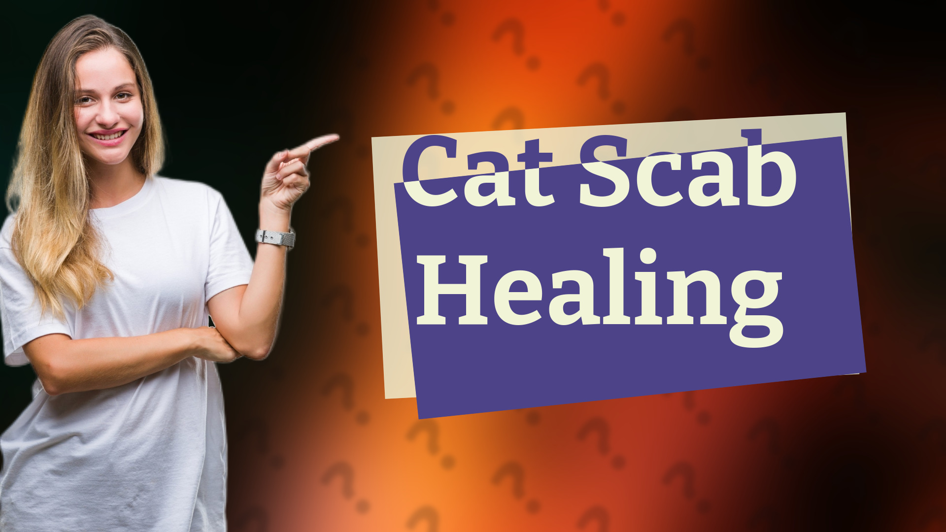 Cat Scab Healing