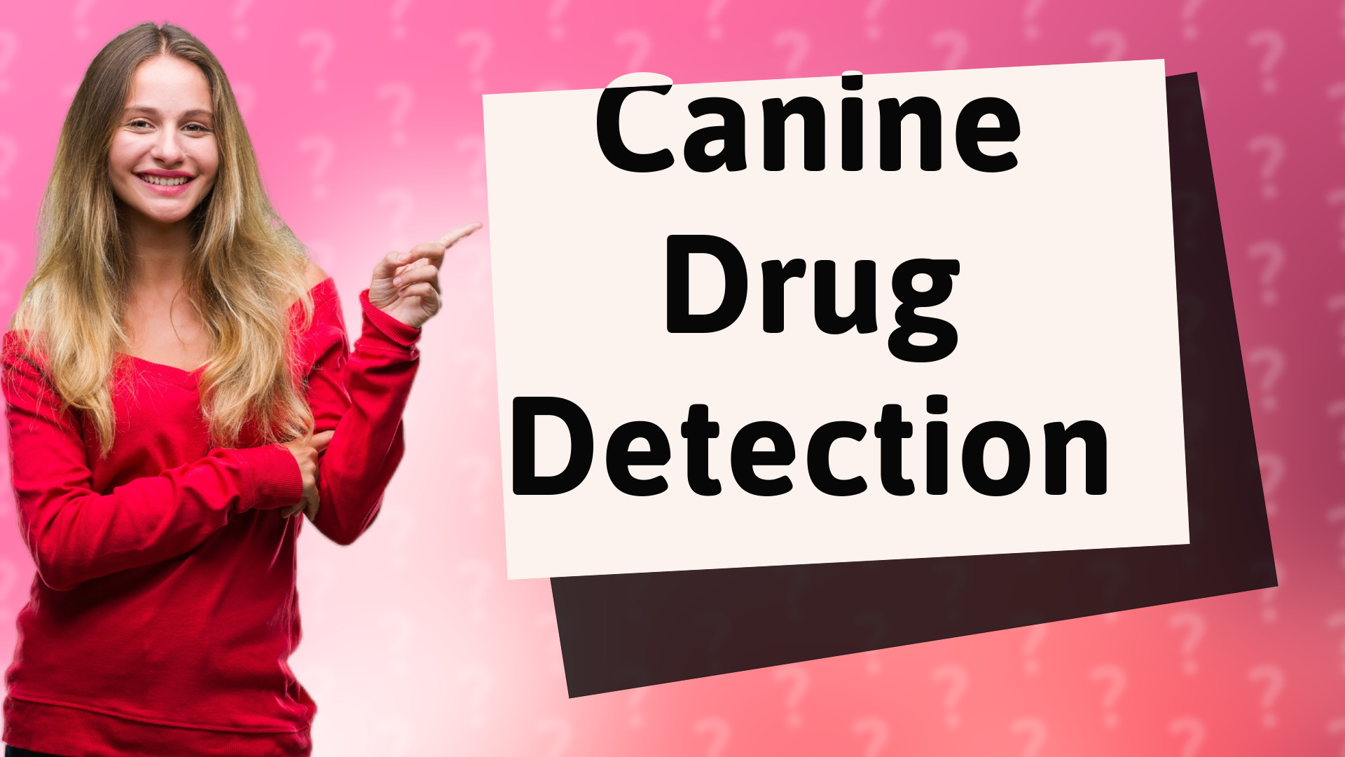 Canine Drug Detection