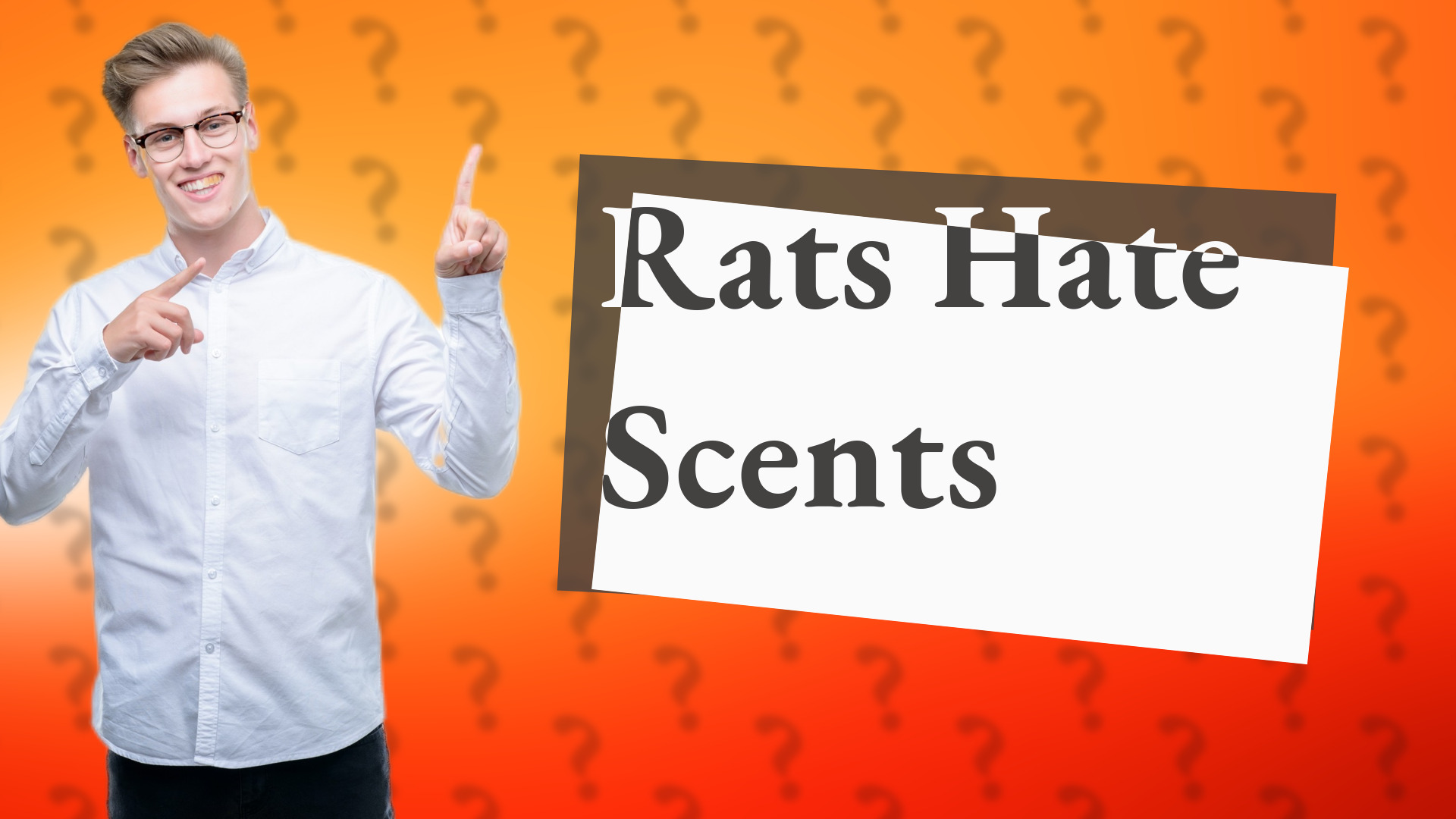 Rats Hate Scents
