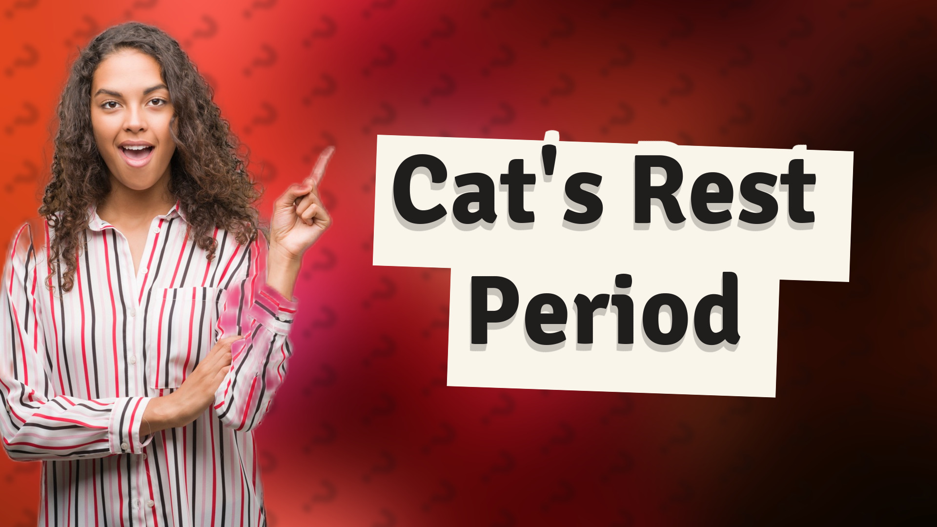 Cat's Rest Period