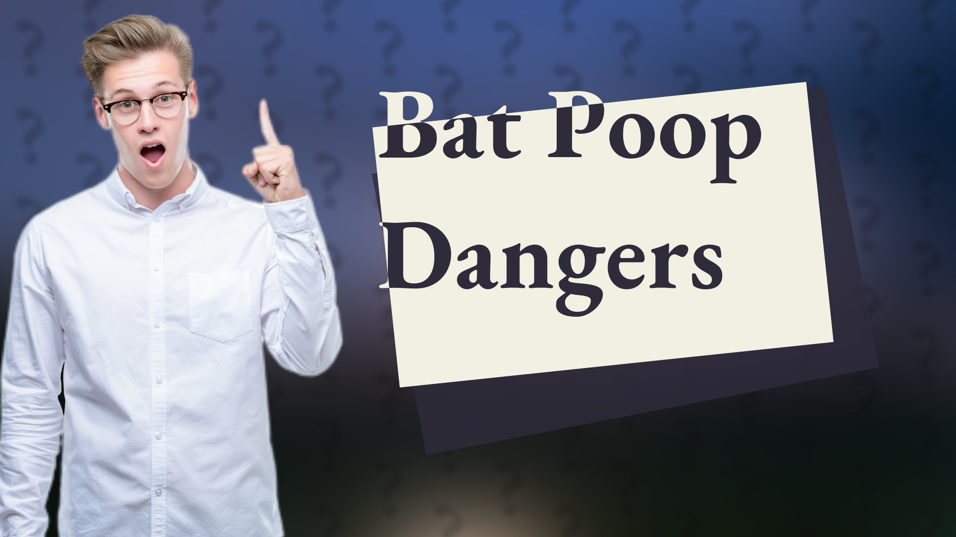 Bat Poop Dangers