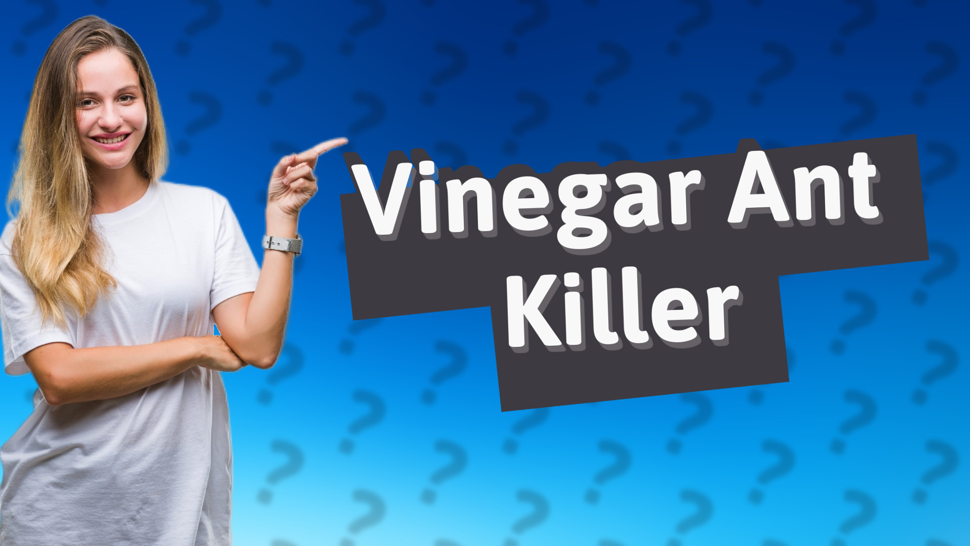 Vinegar Ant Killer