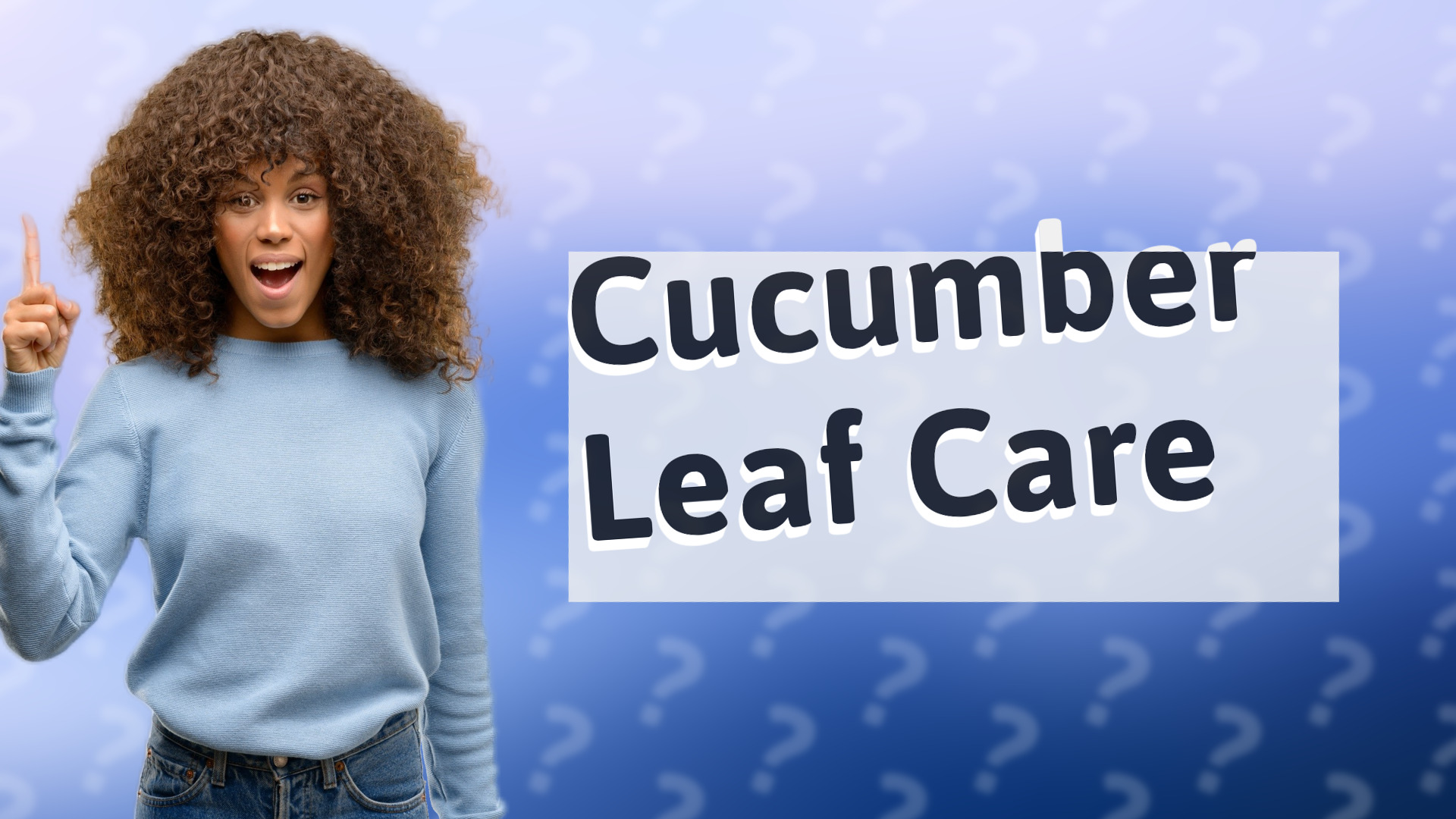 Cucumber Leaf Care