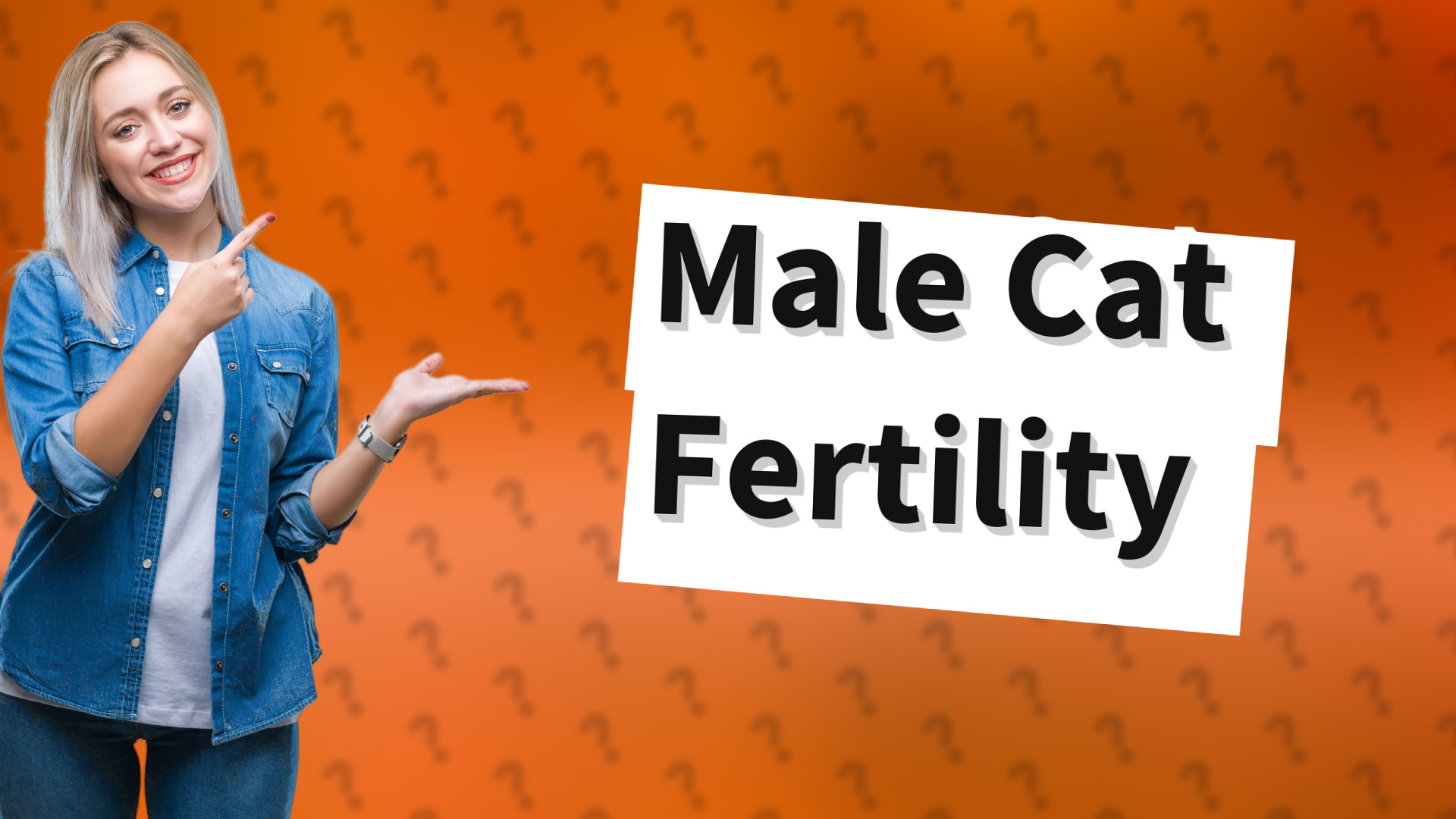 Male Cat Fertility
