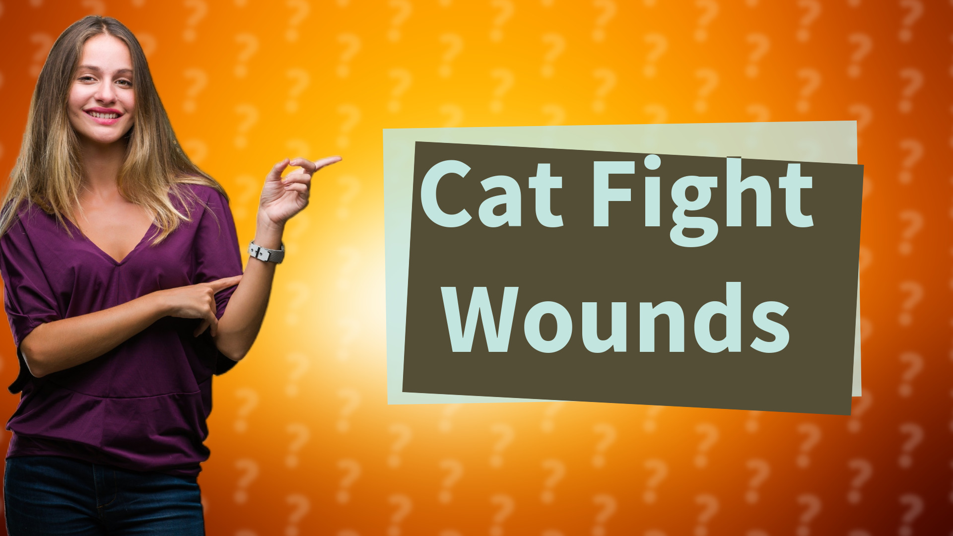 Cat Fight Wounds
