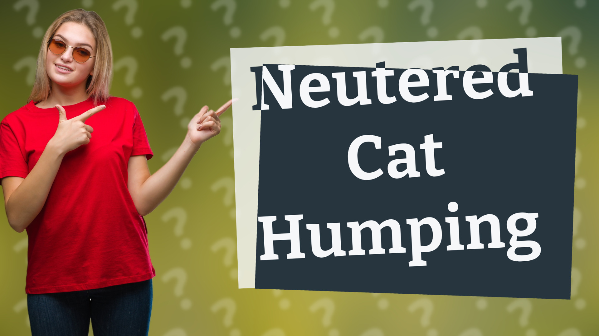 Neutered Cat Humping
