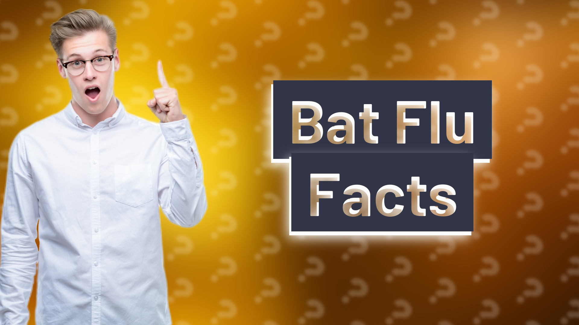 Bat Flu Facts