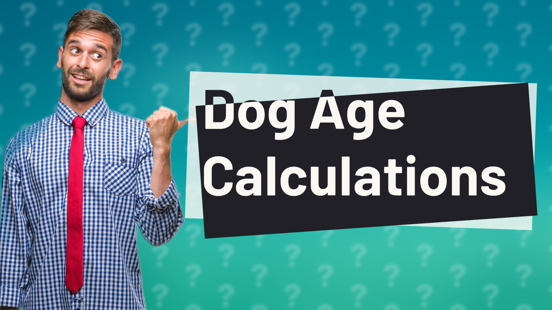 Dog Age Calculations