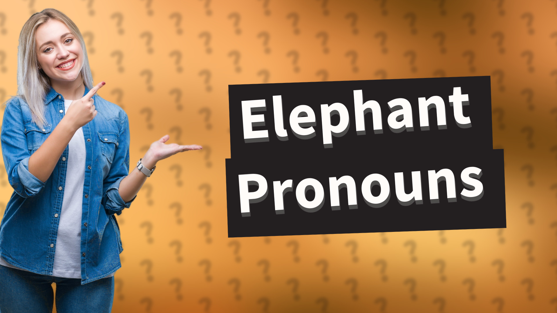 Elephant Pronouns
