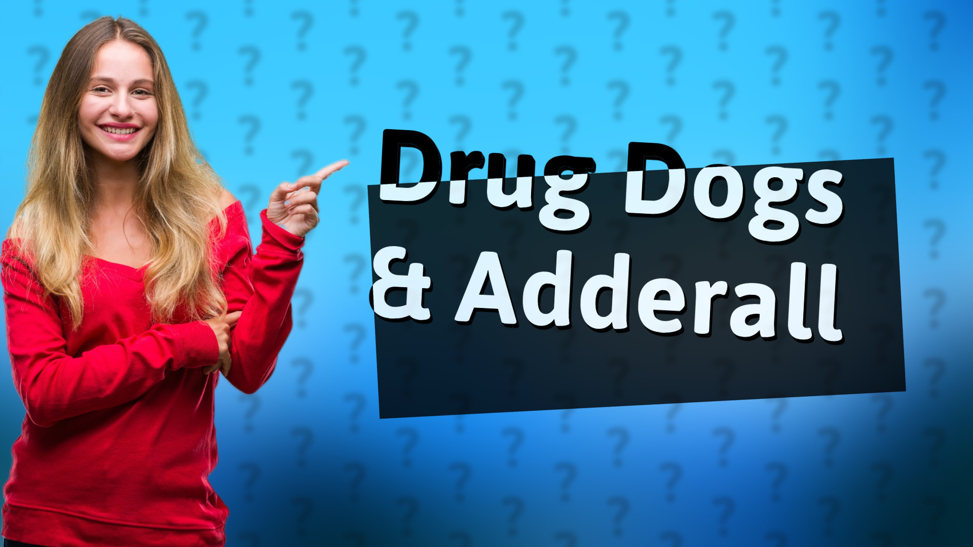 Drug Dogs & Adderall