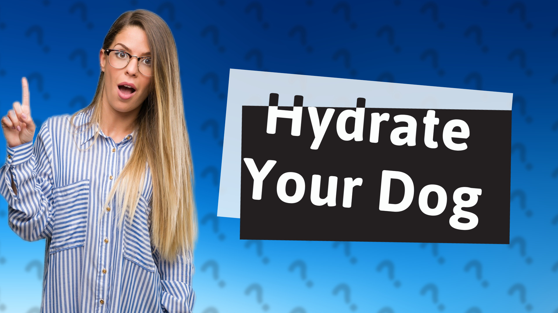 Hydrate Your Dog