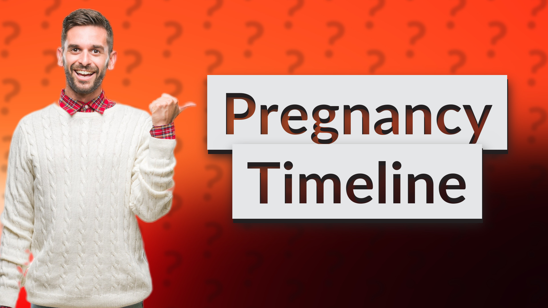 Pregnancy Timeline