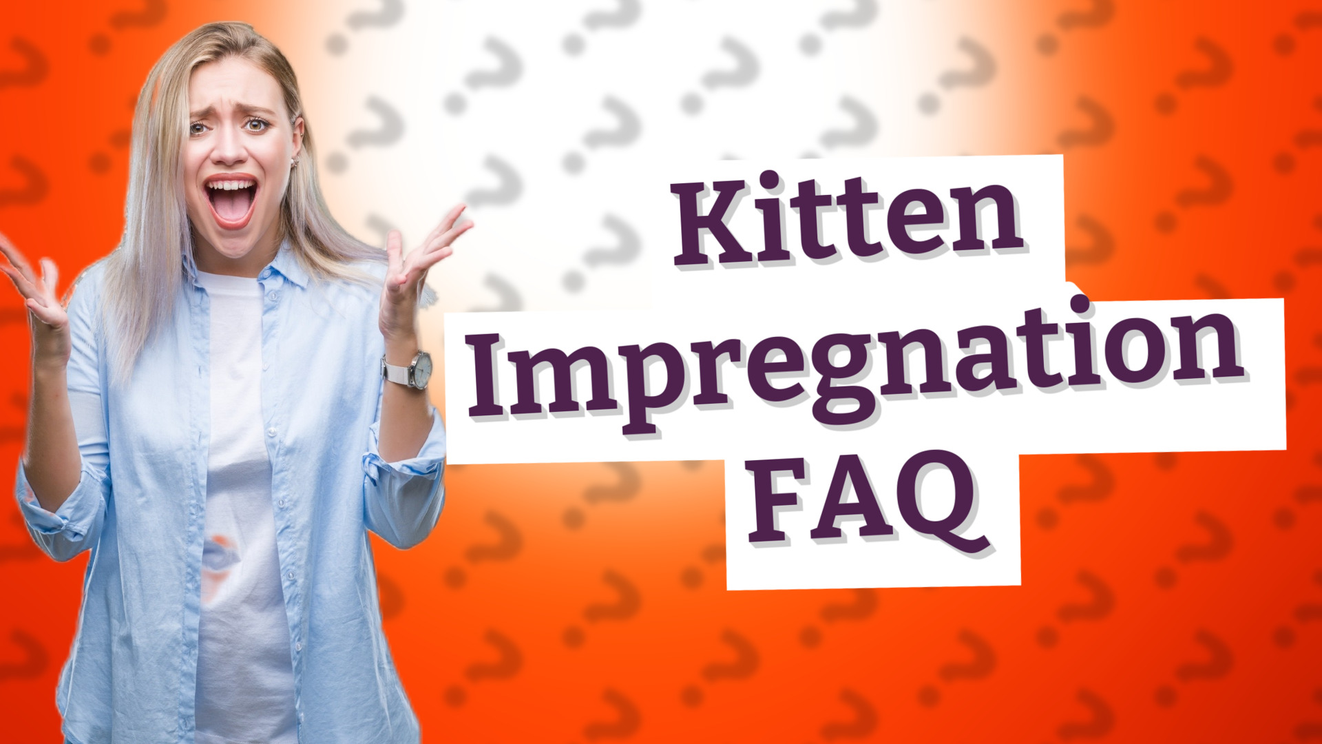 Kitten Impregnation FAQ