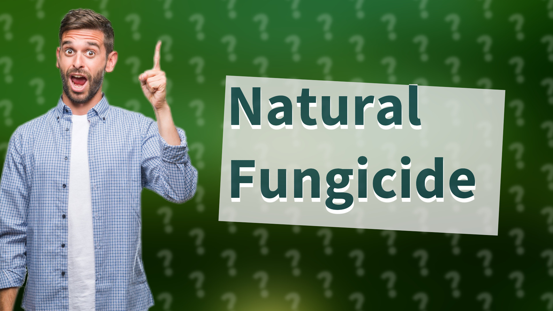 Natural Fungicide
