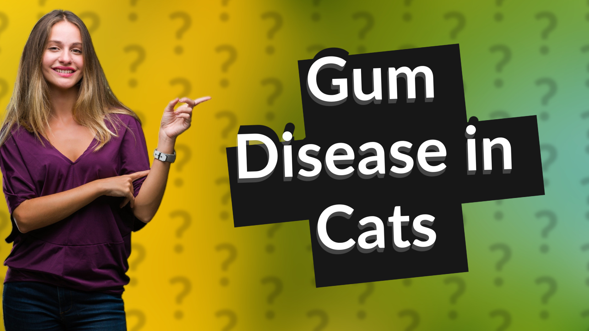 Gum Disease in Cats